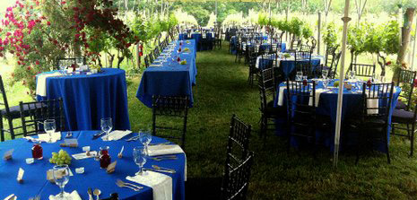 Outdoor wedding reception setup under a tent with round tables covered in blue tablecloths, each set with plates, silverware, and wine glasses. Black chairs surround the tables, and the background shows greenery and flowers.