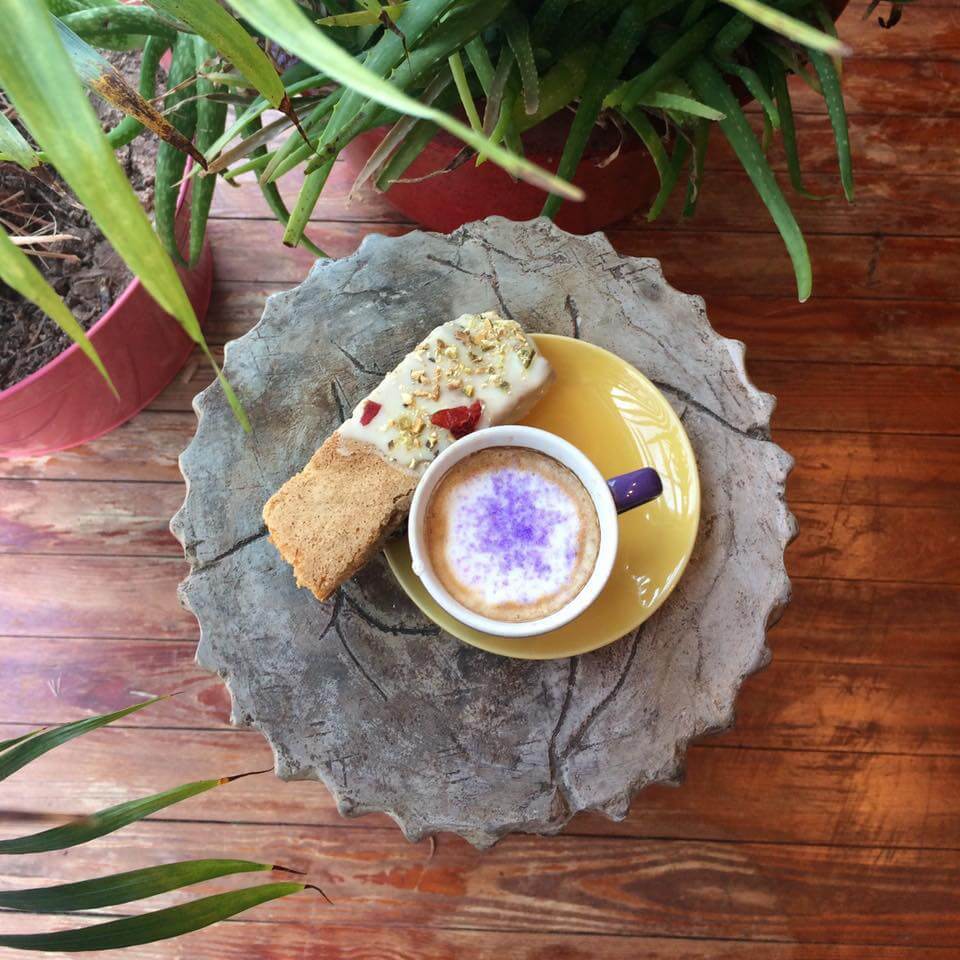 A cappuccino with purple foam art is served on a wooden table with a yellow saucer. Next to the cup is a biscotti dipped in white chocolate and decorated with nuts and dried fruit. Green potted plants surround the table, adding a fresh touch to the scene.