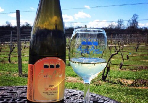 A bottle of 2014 Sunset white table wine stands on a metal outdoor table, next to a filled wine glass bearing the same label. The background features a sunny vineyard with rows of grapevines under a blue sky. Image