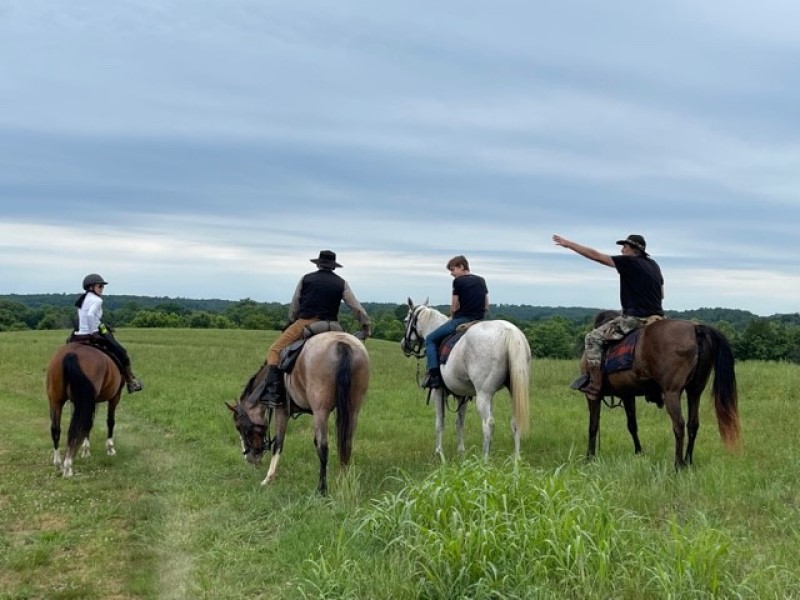 Four people on horses in an open, grassy field. One of the people, wearing a black hat, is pointing towards the horizon while another looks in the same direction. The sky is cloudy, and the landscape is filled with trees and greenery in the background.