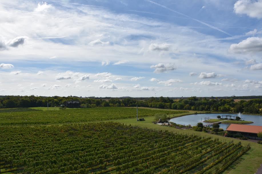 Aerial view of a vineyard with rows of grapevines extending into the distance. A small lake with a dock and a red-roofed building is visible on the right. The sky is partly cloudy with streaks of white clouds, and green trees line the horizon.