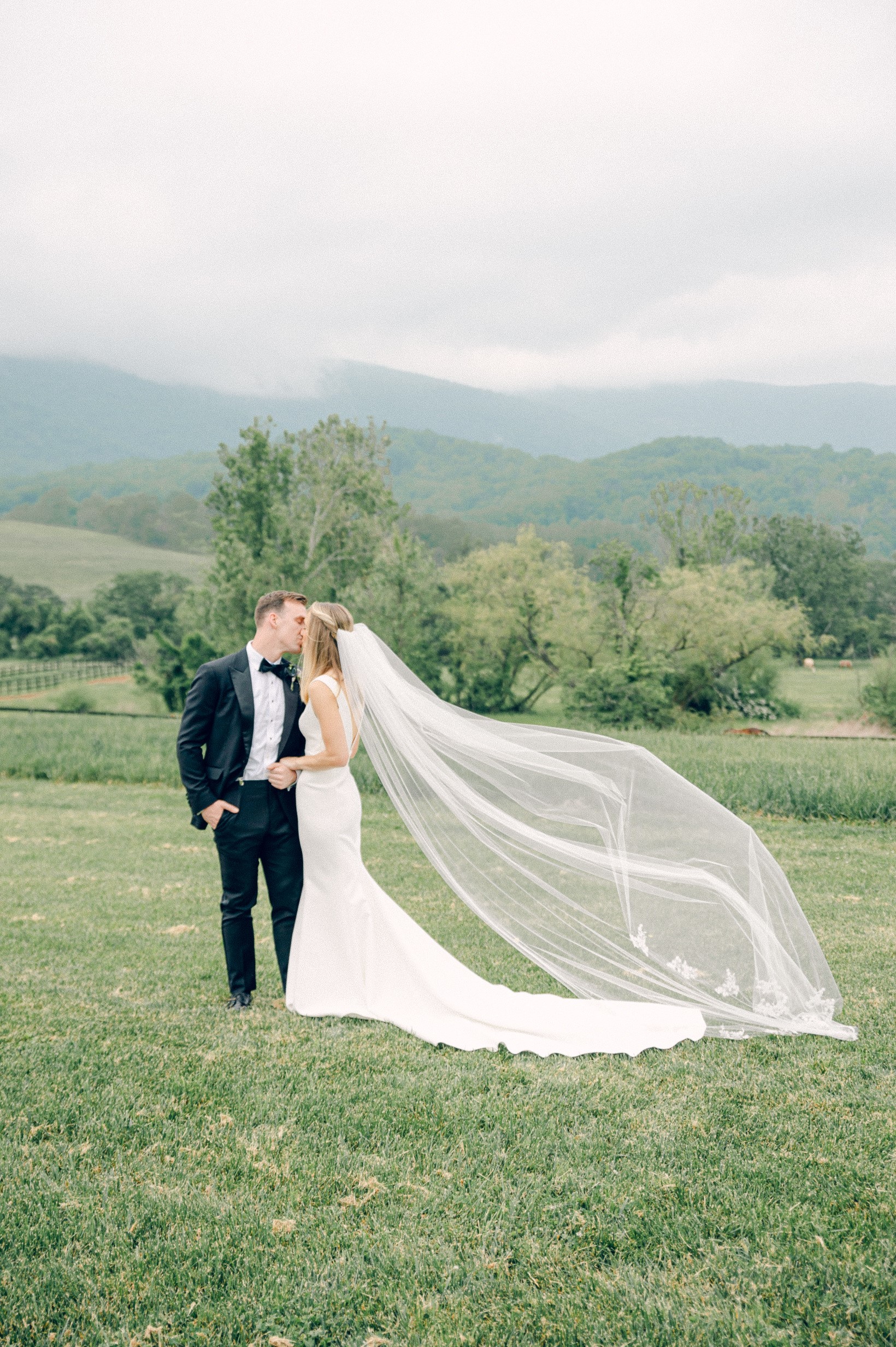 Sarah Houston Photography Image