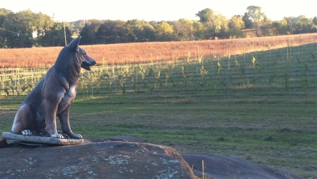 Statue of a German Shepherd sits on a large rock overlooking a vast green field with young tree saplings in the distance, under a clear sky.