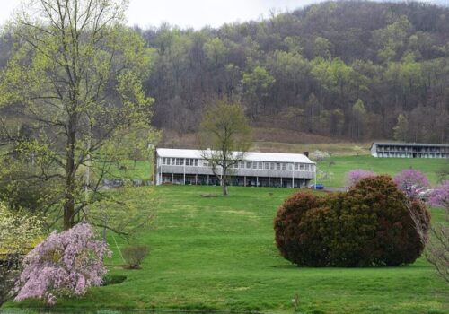 A large greenhouse with glass walls sits atop a grassy hill, surrounded by trees in early spring with blooming flowers and budding leaves. In the background, a forested hillside with trees in various stages of foliage adds to the picturesque landscape. Image