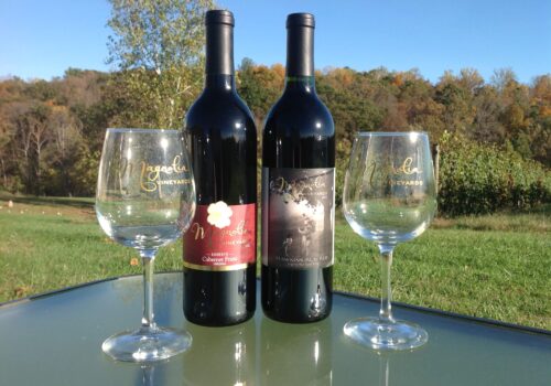 Two bottles of Magnella Vineyards wine, one labeled 
