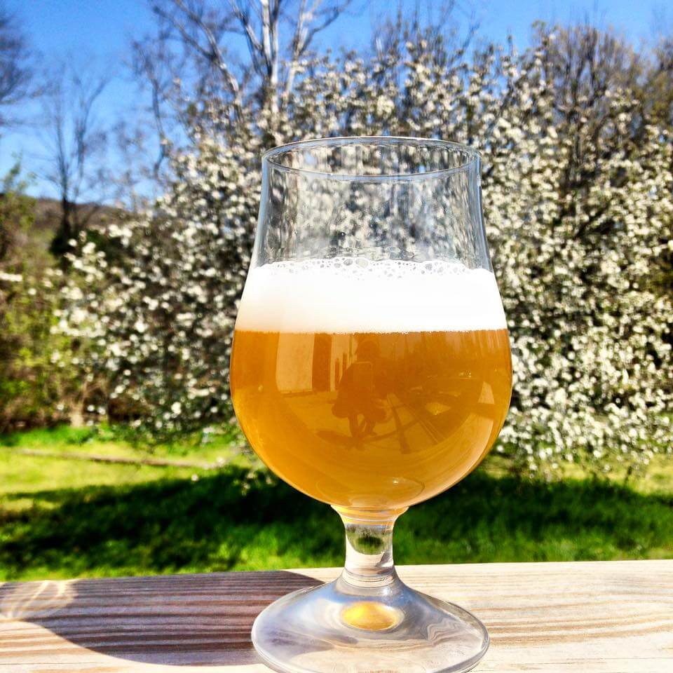 Pen Druid Brewery Image