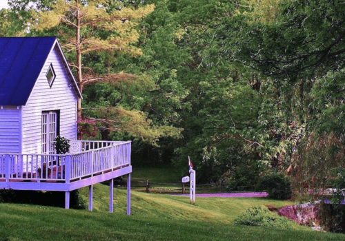 A small white house with a blue roof sits on a grassy hill surrounded by lush greenery. The house has a wooden deck adorned with potted plants. A mailbox and a rural road are visible in the background, with trees in various shades of green all around. Image