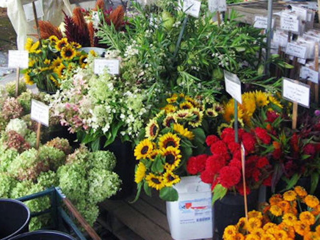 Wollam Gardens Image