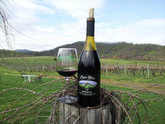 Sharp Rock Vineyards Image
