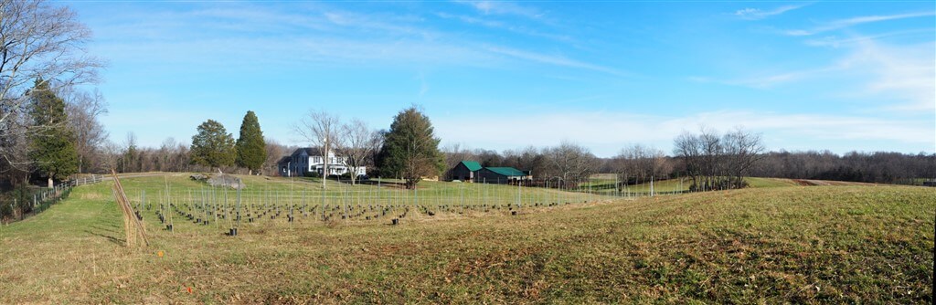 A panoramic view of a tree-filled landscape with green fields, a white house, and a large building with green roofs. Leafless trees are scattered throughout, and a clear blue sky stretches across the background. A fenced-in area with saplings is visible in the foreground.