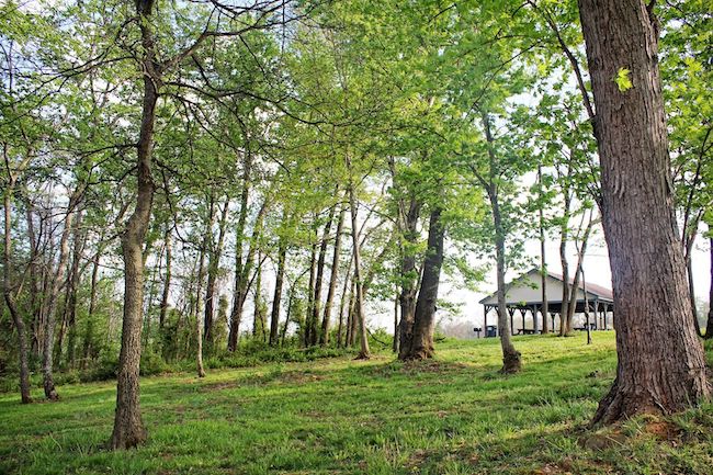 A serene forest scene with lush green grass and tall trees. A wooden pavilion with a gable roof is visible in the background, partly obscured by the trees. Sunlight is filtering through the leaves, casting soft shadows on the ground.