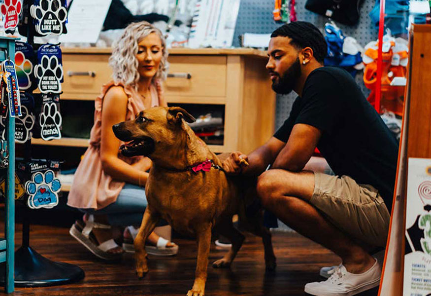 A woman and man are at a pet store kneeling beside a brown dog wearing a pink collar. They are both looking at the dog, appearing to be grooming or inspecting it. Shelves with pet products, including leashes and toys, are visible in the background.