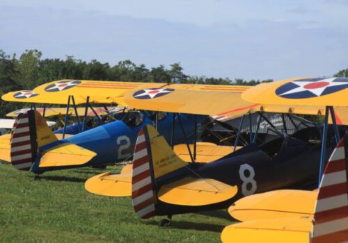 A row of vintage biplanes with bright yellow wings and tails, featuring U.S. military insignia, are parked on green grass. The planes' fuselages are painted blue and black, and they are lined up with trees and a blue sky in the background. Image