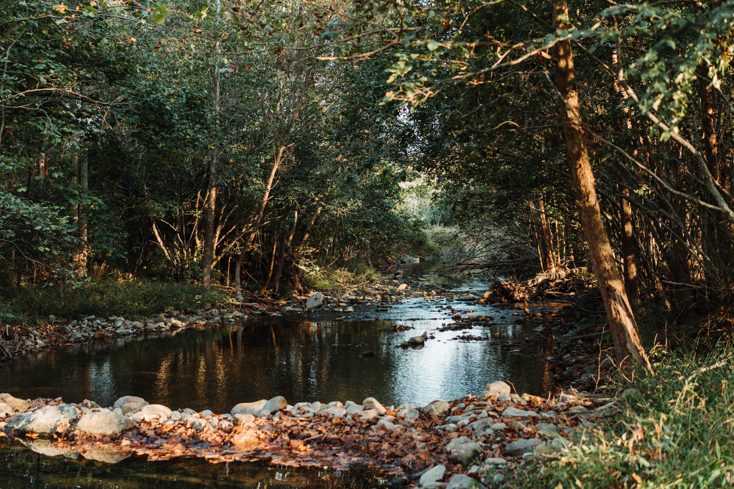 Rappahannock River Campground Image