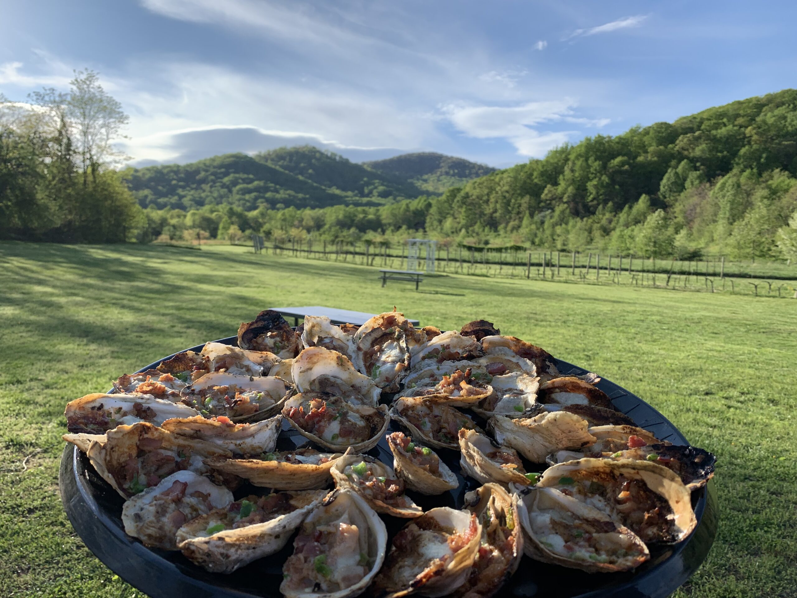 oysters on a grill with a green mountain view