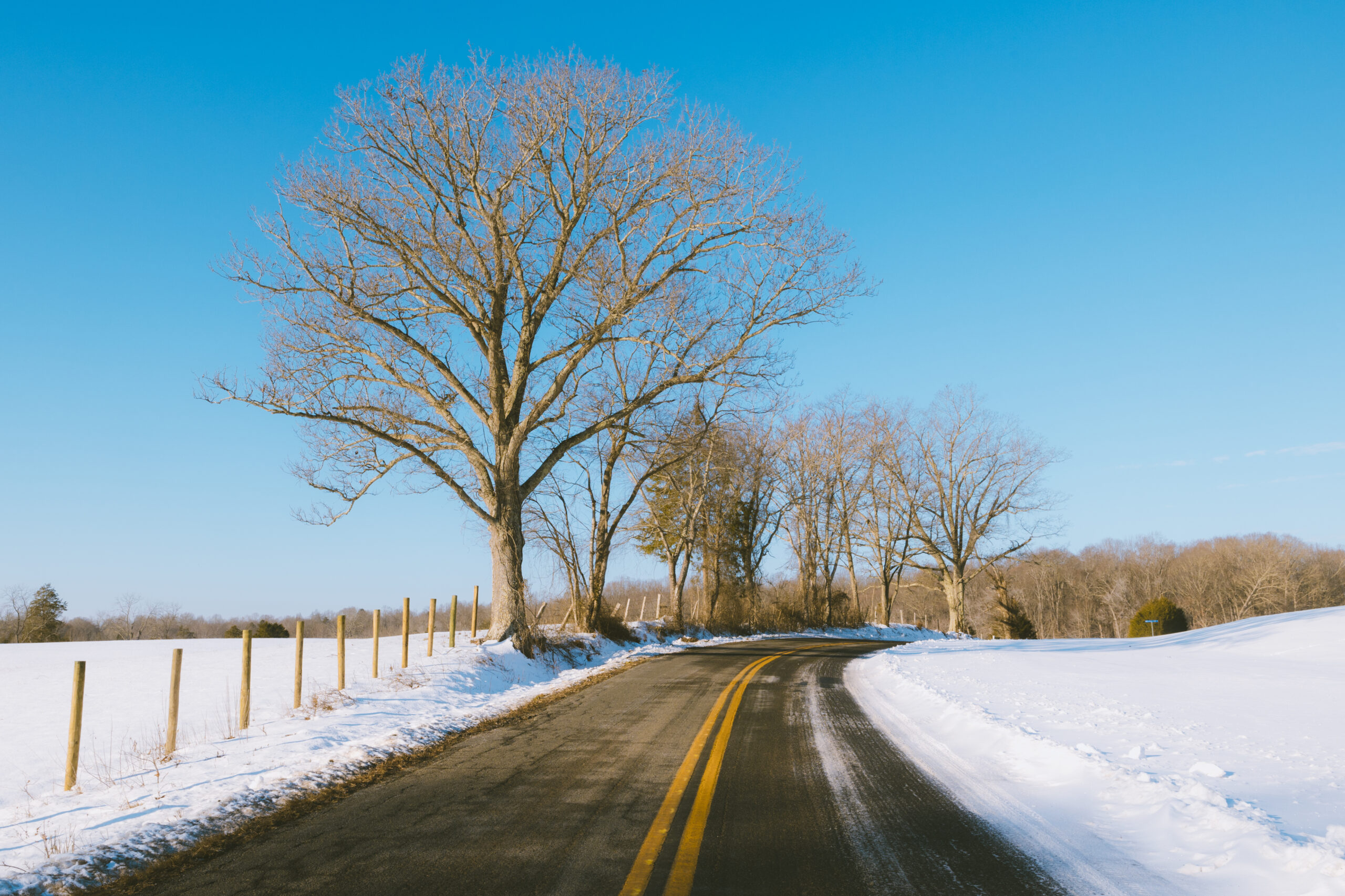 Winter Drive Culpeper