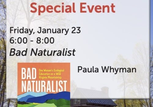 Book Club @ The Vineyard Image